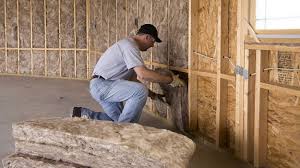 Best Crawl Space Insulation  in Indian River Estates, FL